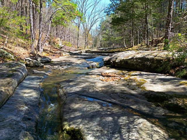 25598 C-228 Tract 1, Norwood, MO 65717