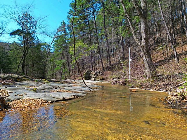 25598 C-228 Tract 1, Norwood, MO 65717