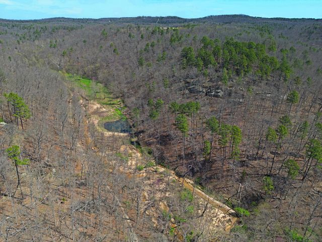 25598 C-228 Tract 1, Norwood, MO 65717