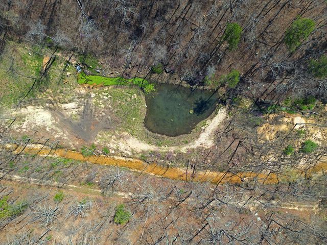 25598 C-228 Tract 1, Norwood, MO 65717