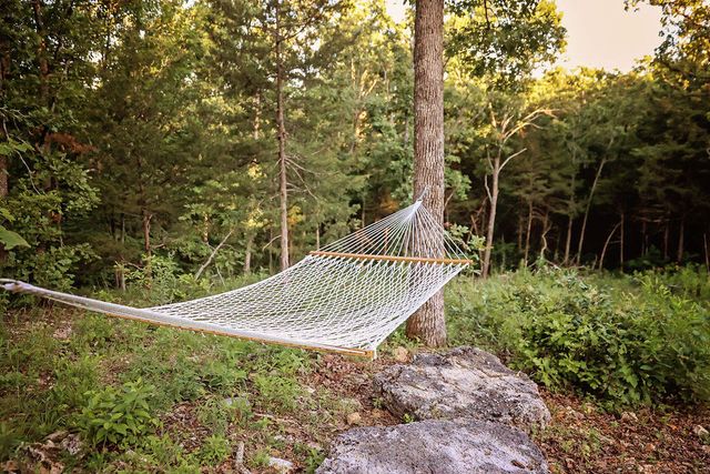 25598 C-228 Tract 1, Norwood, MO 65717