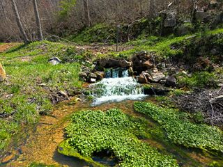 25598 C-228 Tract 1, Norwood, MO 65717