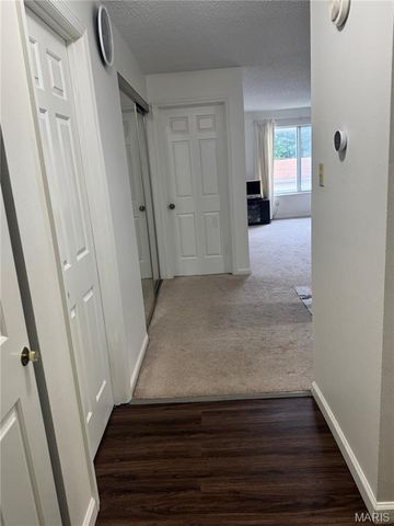 942 Guelbreth Lane 208, St Louis, MO 63141