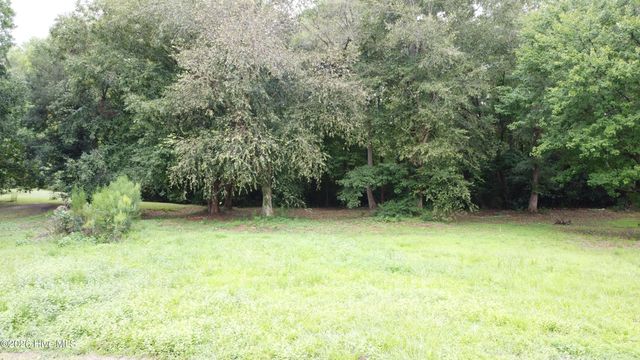 3912 Fred Jones Road, La Grange, NC 28551