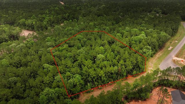 4809 Red Coyote Lane, Montgomery, TX 77316