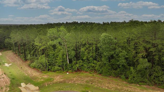 4809 Red Coyote Lane, Montgomery, TX 77316