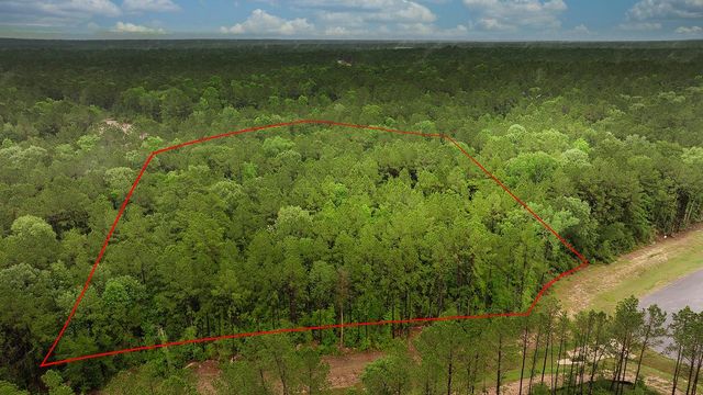 4809 Red Coyote Lane, Montgomery, TX 77316