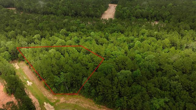 4809 Red Coyote Lane, Montgomery, TX 77316