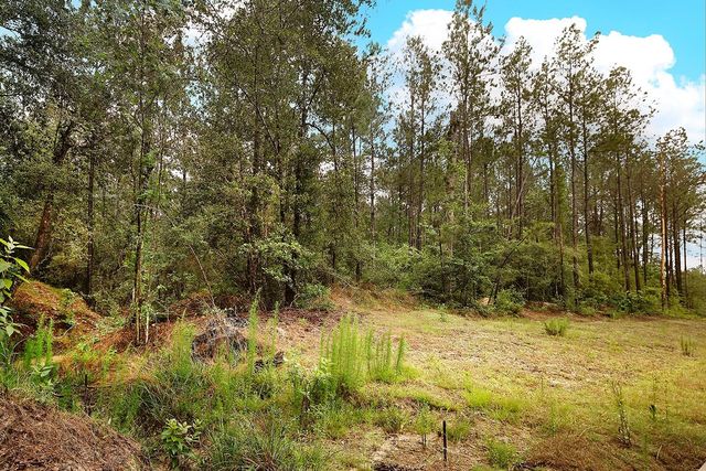 4809 Red Coyote Lane, Montgomery, TX 77316