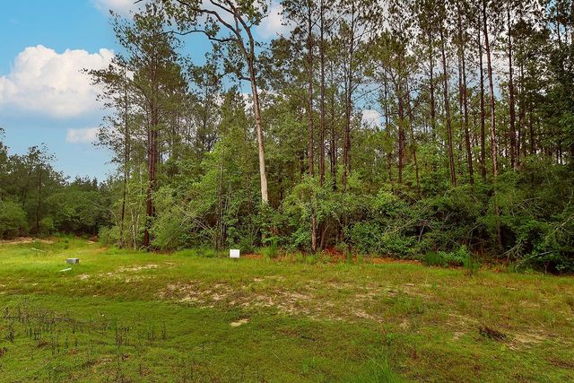 4809 Red Coyote Lane, Montgomery, TX 77316