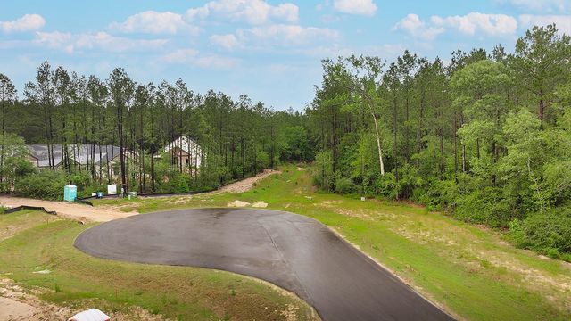 4809 Red Coyote Lane, Montgomery, TX 77316