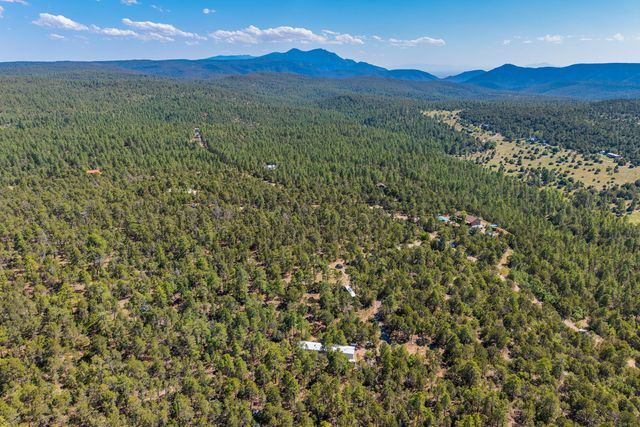 95 & 99 CAROLINO CANYON Road, Tijeras, NM 87059