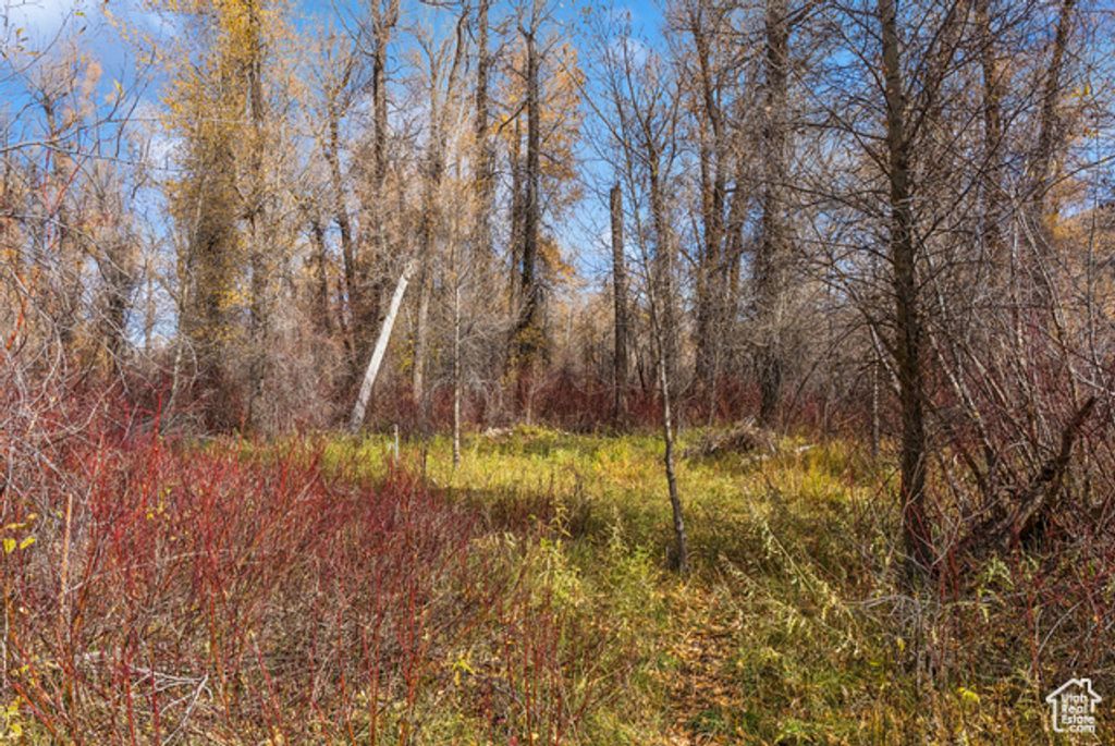 Image 21 of property listing at 2638 E WEBER CANYON RD, Oakley, UT 84055