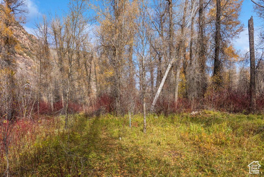 Image 22 of property listing at 2638 E WEBER CANYON RD, Oakley, UT 84055
