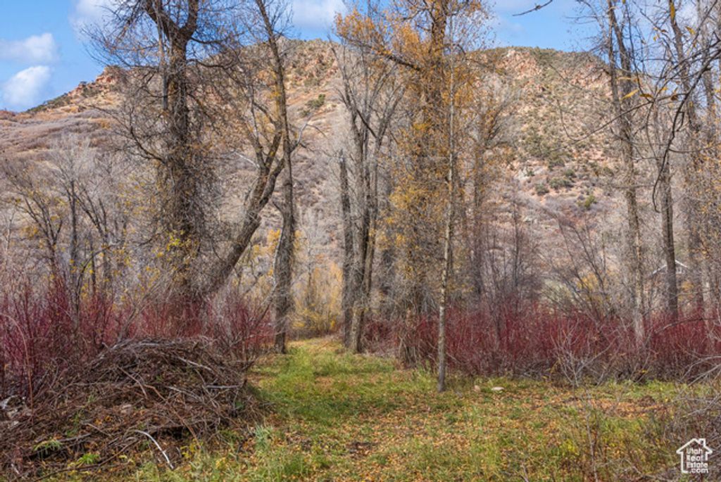 Image 23 of property listing at 2638 E WEBER CANYON RD, Oakley, UT 84055