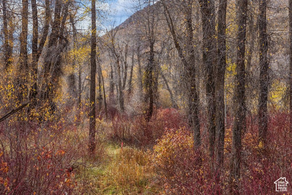 Image 24 of property listing at 2638 E WEBER CANYON RD, Oakley, UT 84055
