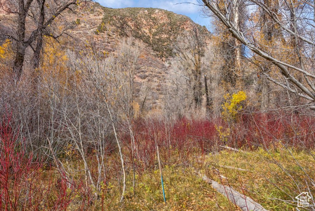 Image 25 of property listing at 2638 E WEBER CANYON RD, Oakley, UT 84055