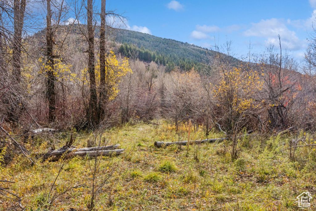 Image 26 of property listing at 2638 E WEBER CANYON RD, Oakley, UT 84055