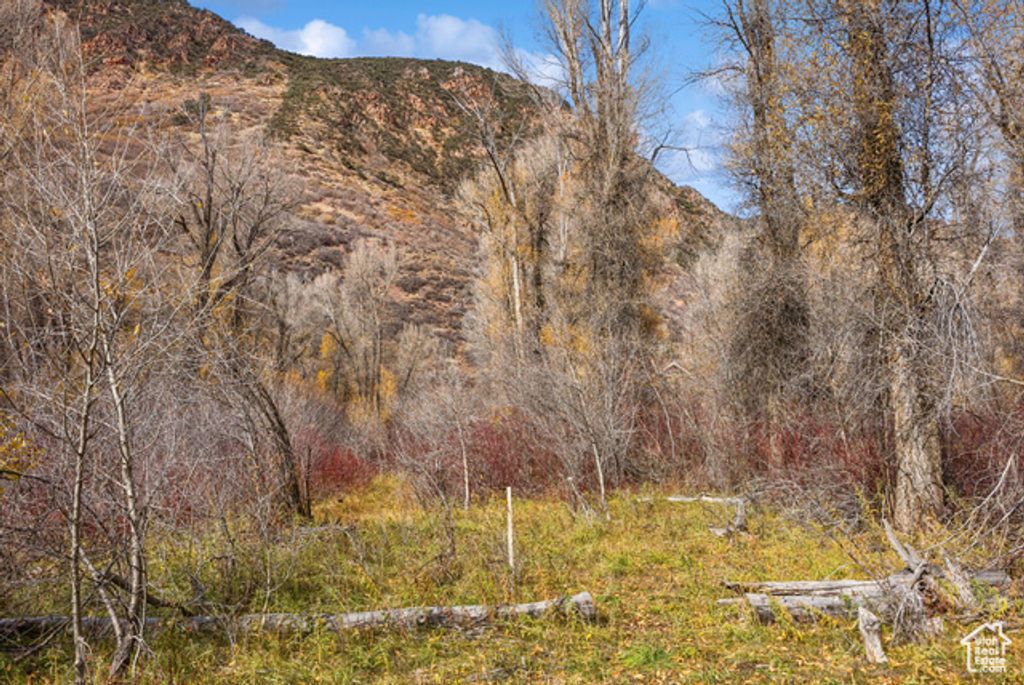 Image 27 of property listing at 2638 E WEBER CANYON RD, Oakley, UT 84055