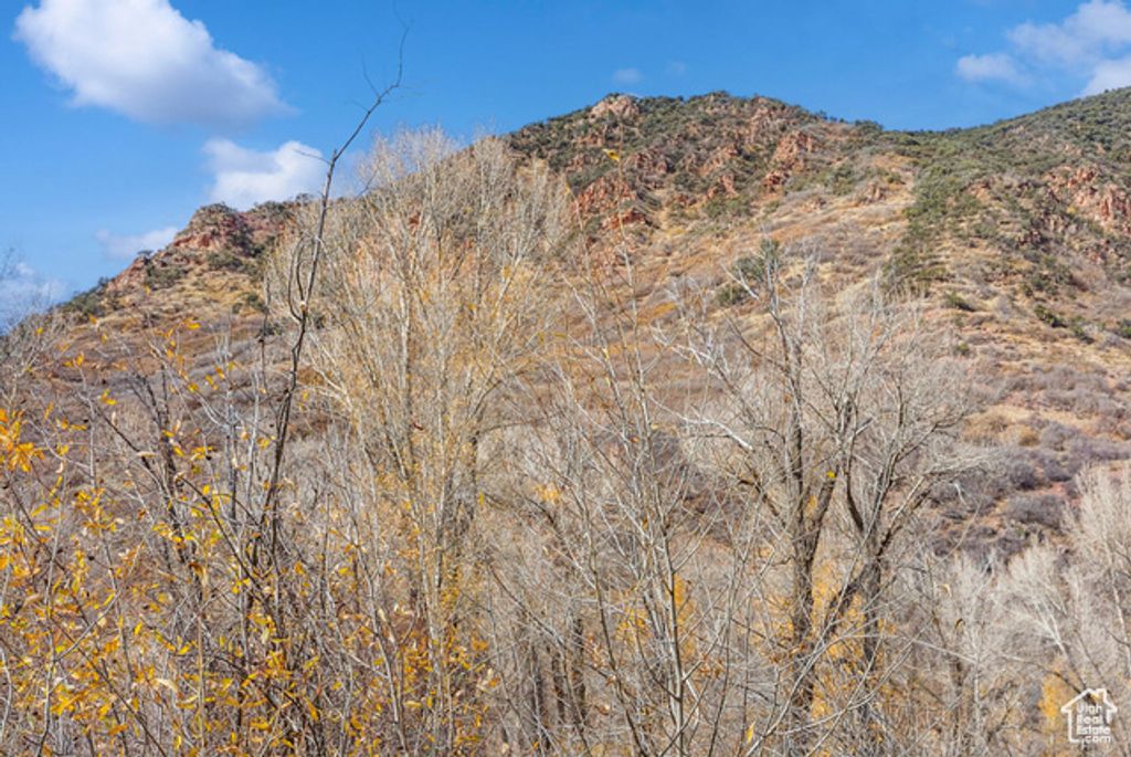 Image 28 of property listing at 2638 E WEBER CANYON RD, Oakley, UT 84055