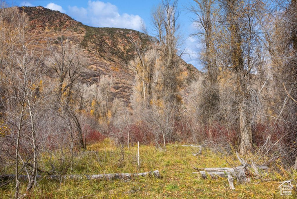 Image 29 of property listing at 2638 E WEBER CANYON RD, Oakley, UT 84055