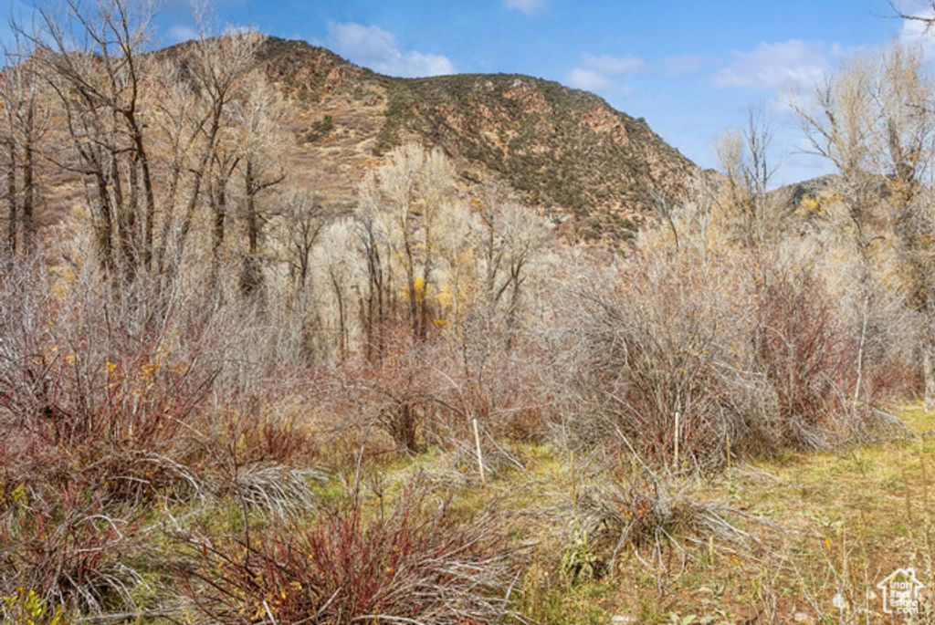 Image 30 of property listing at 2638 E WEBER CANYON RD, Oakley, UT 84055