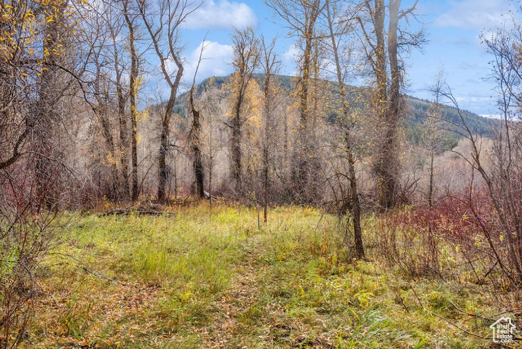 Image 4 of property listing at 2638 E WEBER CANYON RD, Oakley, UT 84055