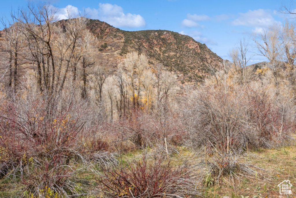 Image 31 of property listing at 2638 E WEBER CANYON RD, Oakley, UT 84055
