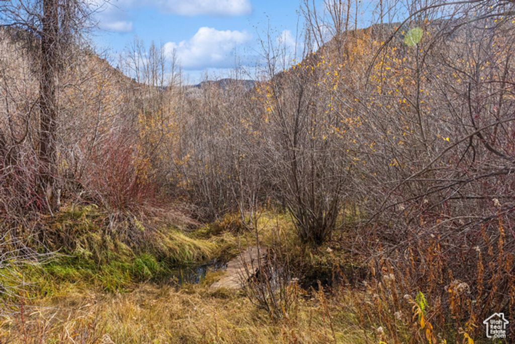 Image 32 of property listing at 2638 E WEBER CANYON RD, Oakley, UT 84055