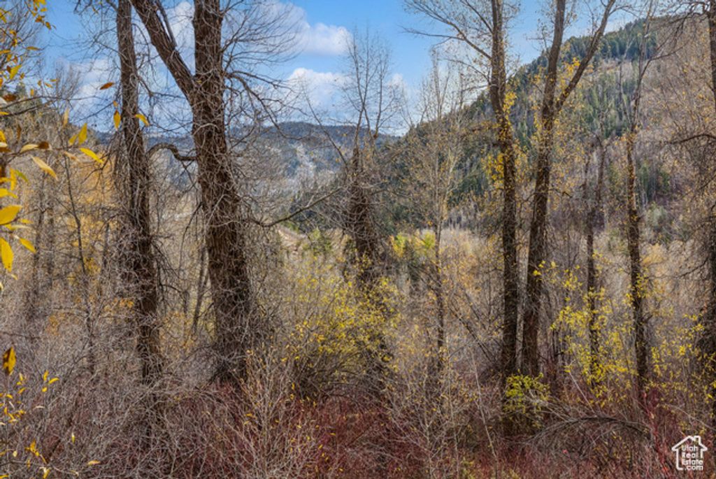 Image 43 of property listing at 2638 E WEBER CANYON RD, Oakley, UT 84055