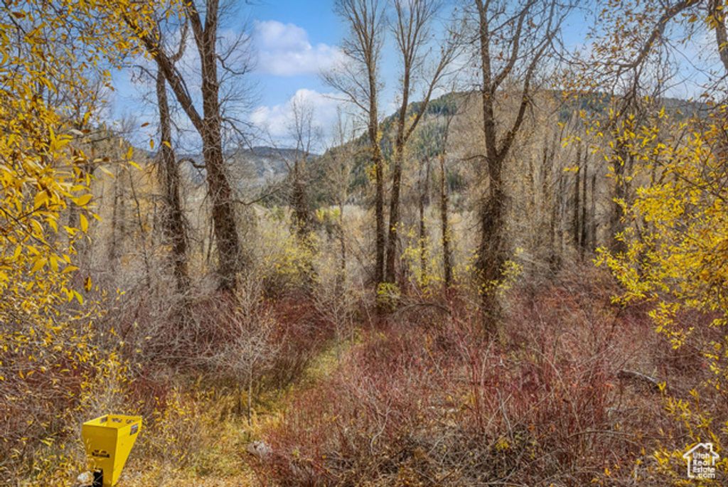 Image 44 of property listing at 2638 E WEBER CANYON RD, Oakley, UT 84055