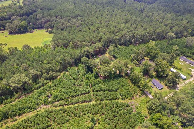 217 Joe Felder Road, Ridgeville, SC 29472