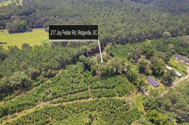 217 Joe Felder Road, Ridgeville, SC 29472