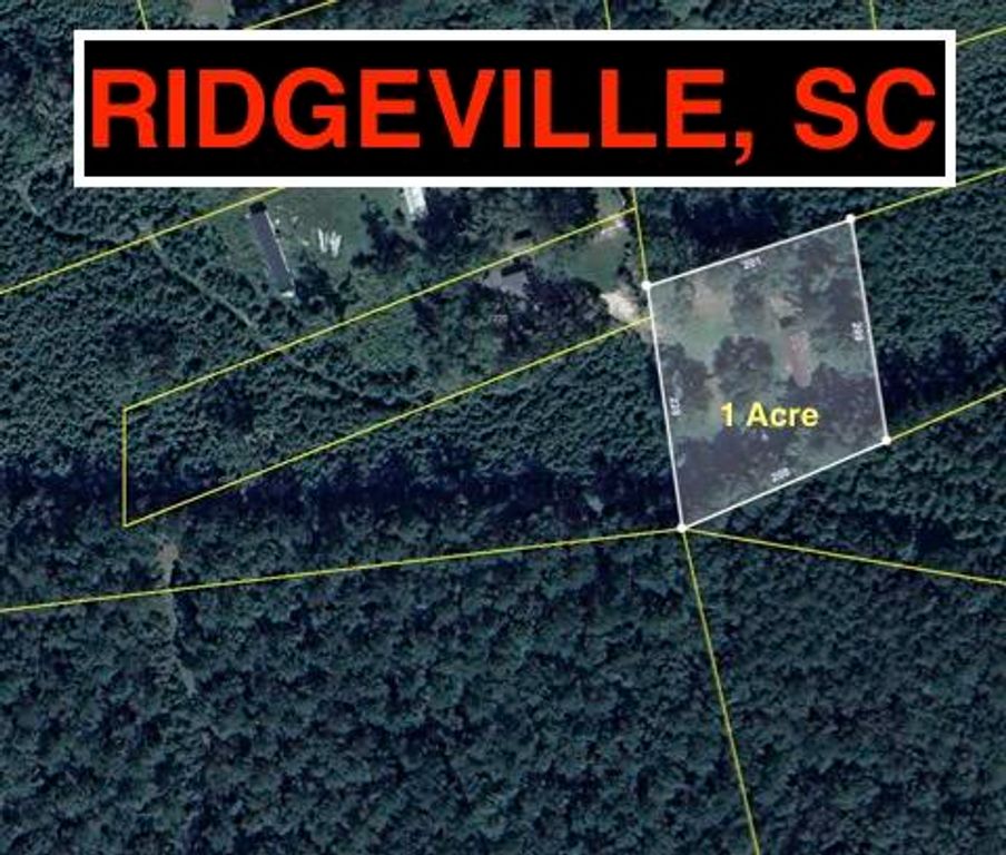 217 Joe Felder Road, Ridgeville, SC 29472