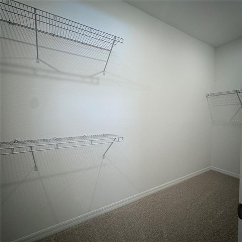 5792 DANCING WILLOW STREET, Clermont, FL 34714