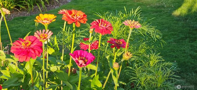 20016 127th Street Ct E, Bonney Lake, WA 98391