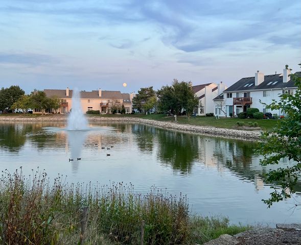 1052 Hinswood Drive, Darien, IL 60561