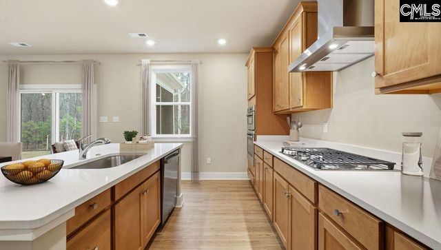 2014 Red Tulip Court, Lexington, SC 29073