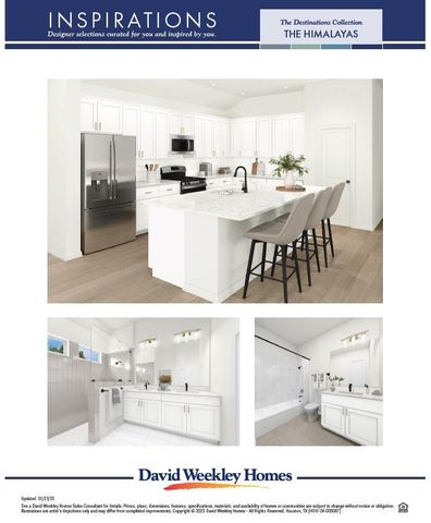 16258 Blue Mistflower Lane, Hockley, TX 77447