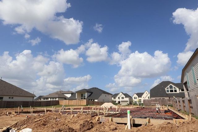 16258 Blue Mistflower Lane, Hockley, TX 77447
