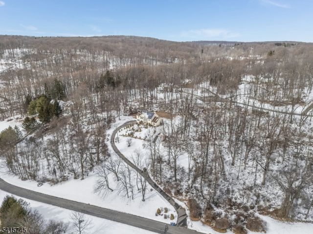 3 Elk Ridge Rd, Lebanon Twp., NJ 07830