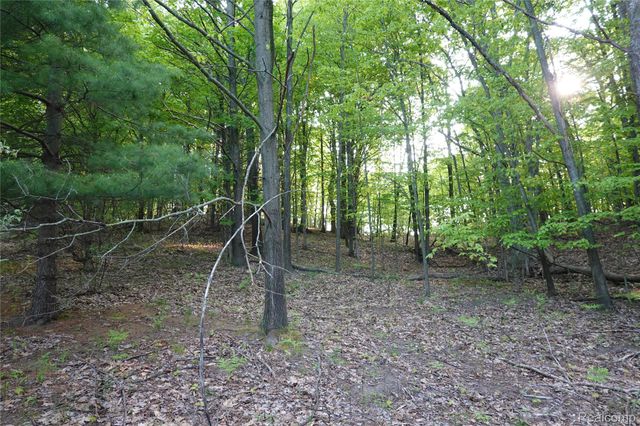 000 Buckridge Court, Milton Township, MI 49676