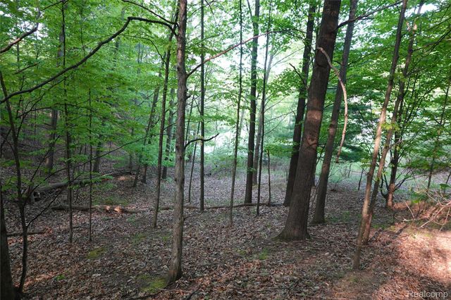 000 Buckridge Court, Milton Township, MI 49676