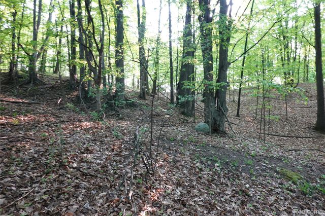 000 Buckridge Court, Milton Township, MI 49676