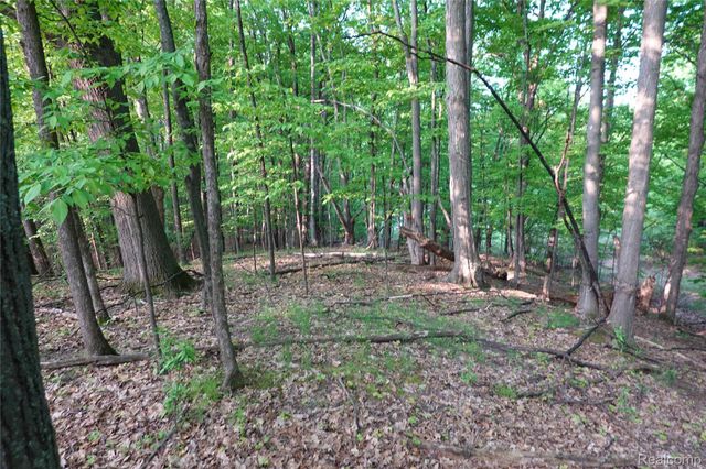 000 Buckridge Court, Milton Township, MI 49676