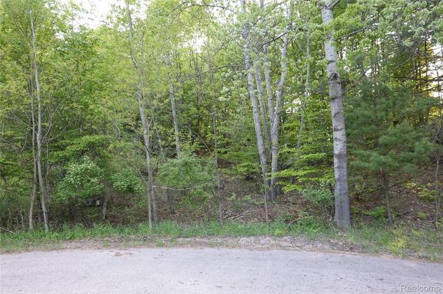 000 Buckridge Court, Milton Township, MI 49676