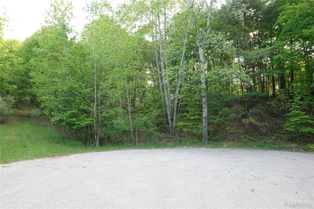 000 Buckridge Court, Milton Township, MI 49676