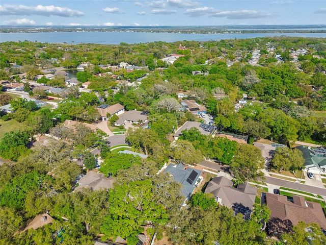 1709 LA FOREST AVENUE, Safety Harbor, FL 34695