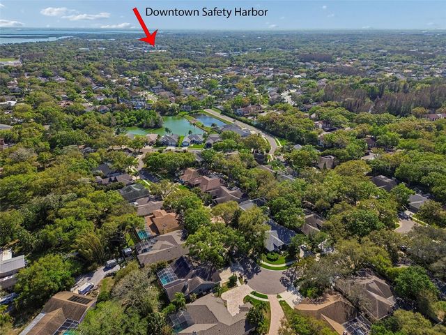 1709 LA FOREST AVENUE, Safety Harbor, FL 34695