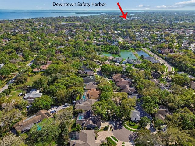 1709 LA FOREST AVENUE, Safety Harbor, FL 34695